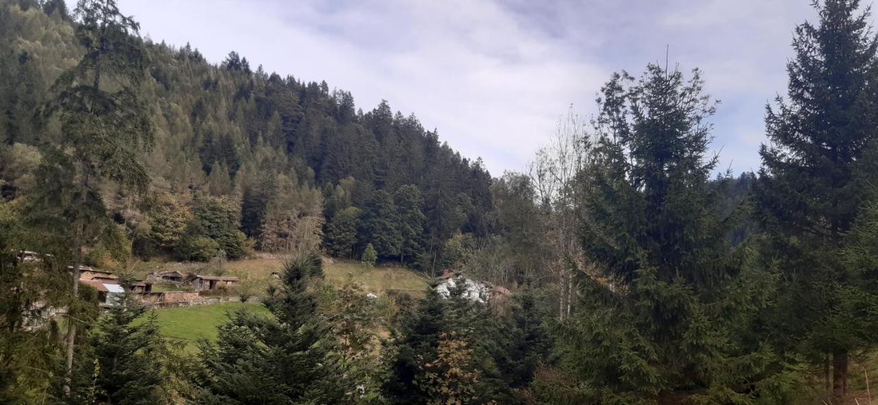 Le Montagnard Apartment Gerardmer Luaran gambar