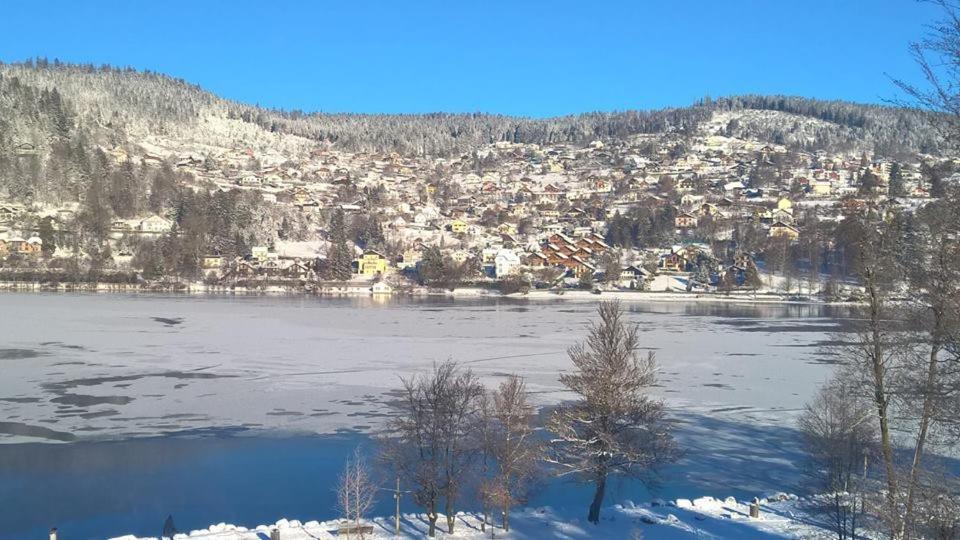 Le Montagnard Apartment Gerardmer Luaran gambar