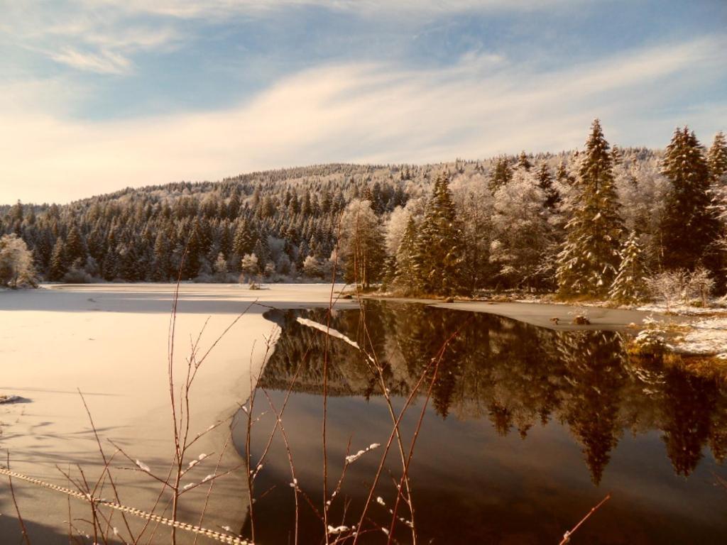 Le Montagnard Apartment Gerardmer Luaran gambar