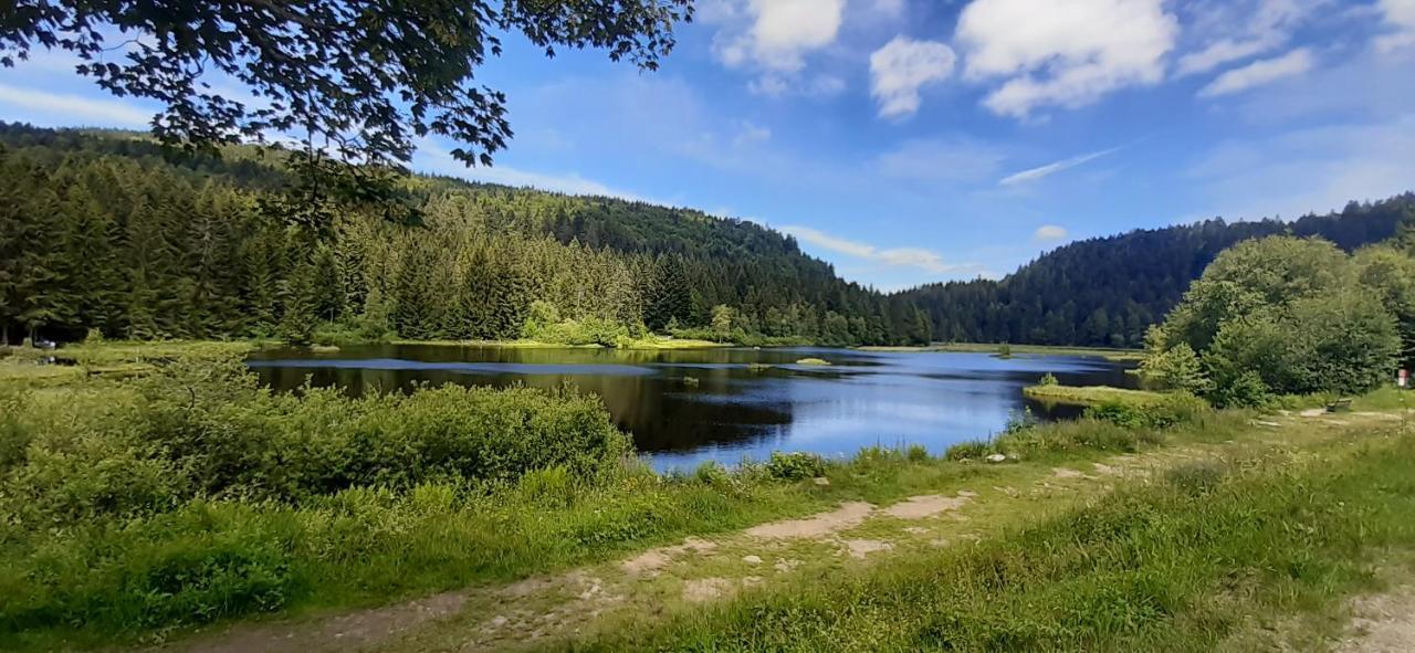 Le Montagnard Apartment Gerardmer Luaran gambar