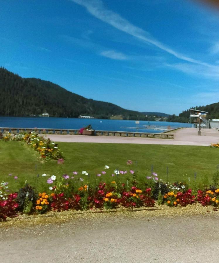Le Montagnard Apartment Gerardmer Luaran gambar