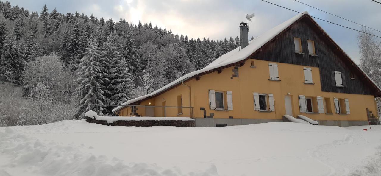 Le Montagnard Apartment Gerardmer Luaran gambar