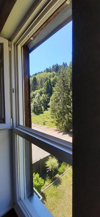 Le Montagnard Apartment Gerardmer Luaran gambar